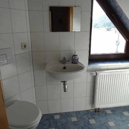 Dampferblick * Meißen