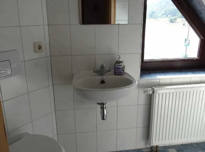 Dampferblick * Meißen